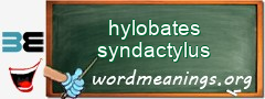 WordMeaning blackboard for hylobates syndactylus